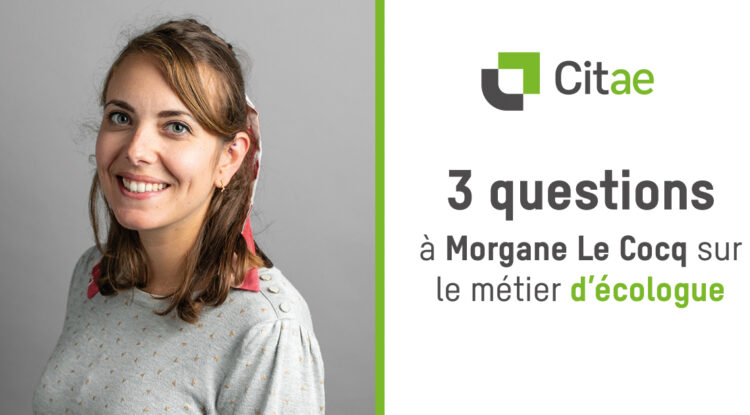 3 questions à Morgane Le Cocq sur le métier d’écologue