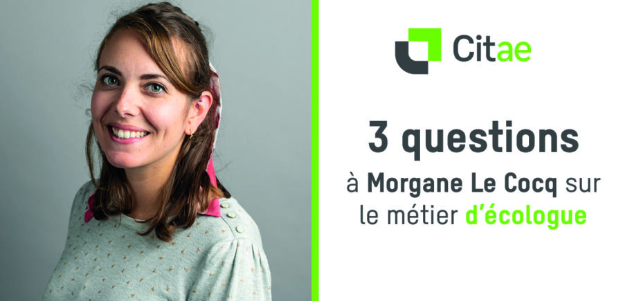 3 questions à Morgane Le Cocq sur le métier d’écologue