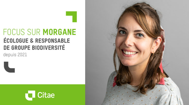 Interview avec Morgane, experte en biodiversité