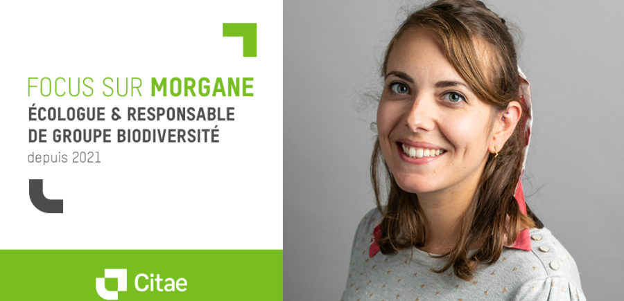 Interview avec Morgane, experte en biodiversité