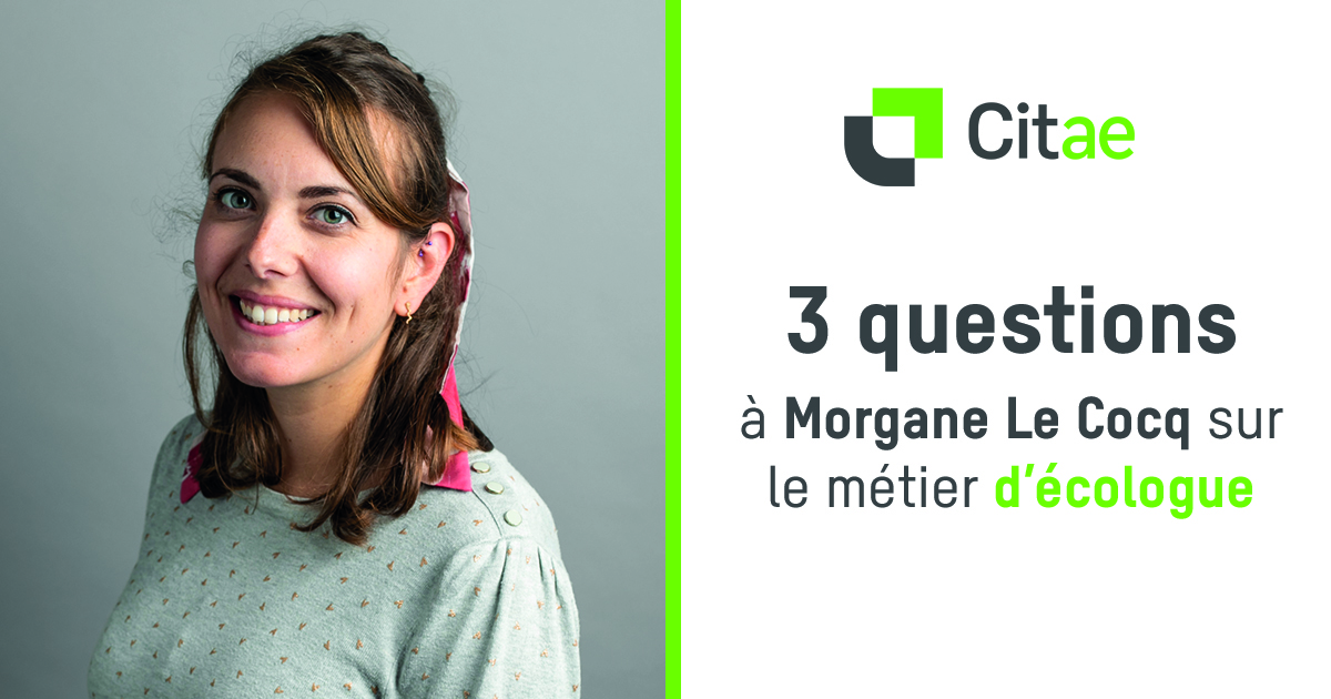 3 questions à Morgane Le Cocq sur le métier d’écologue