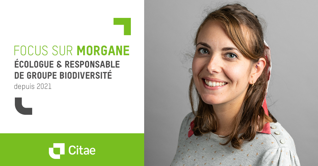 Interview avec Morgane, experte en biodiversité