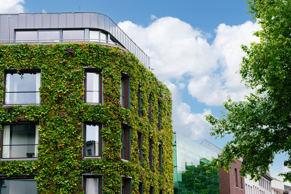 Valae by Citae, conseil en finance durable et ESG immobilier